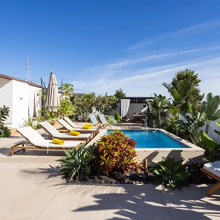 Apartment Cinco Delicias Arona (Tenerife)